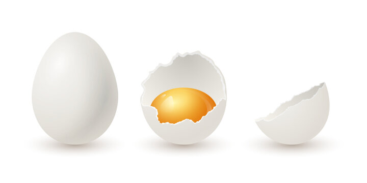 Vector 3d Realistic White Chicken Eggs. Whole and Broken Cracked Chicken Egg, Two Parts, Opened Crack Raw Chicken Egg With Yolk Isolated. Vector Eggs Isolated. Whole, Half Egg in Front View