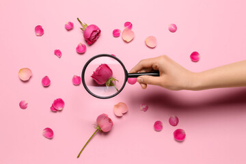 Female hand with magnifier and rose petals on pink background