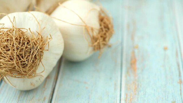 close up pf garlic on white background,