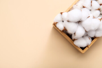 Cotton flowers in wooden crate on beige background