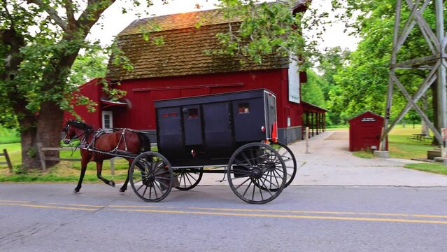 Amish Buggy on Rural Road