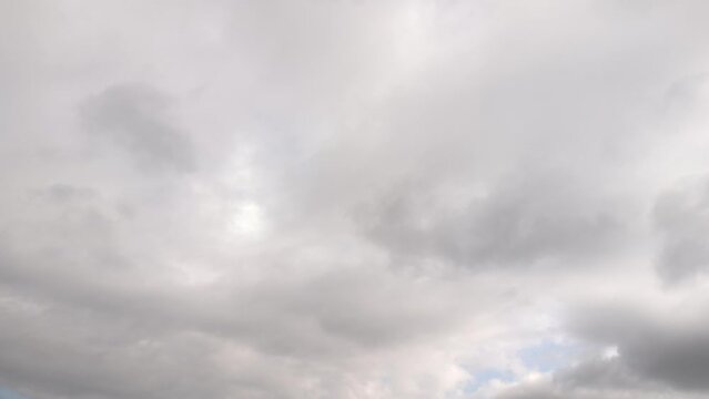 Birds flying through the sky in the noon