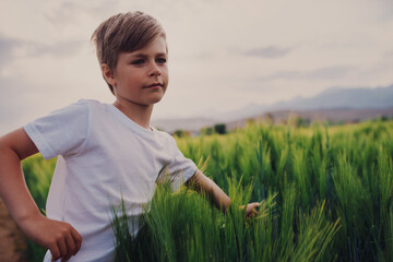 Portrait of cute boy with spike of a grain plant in a field