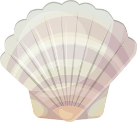 Colorful tropical shell png.Summer concept in cartoon style. Illustration isolated on transparent background.
