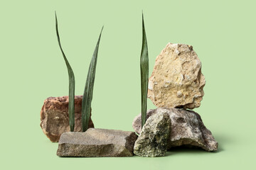 Decorative stone podiums with leaves on green background