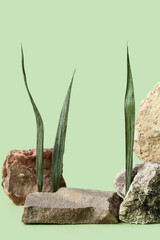 Decorative stone podiums with leaves on green background