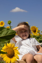 blond girl in the sunflowers enjoying nature