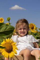 blond girl in the sunflowers enjoying nature