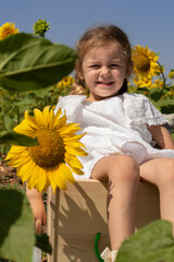 blond girl in the sunflowers enjoying nature