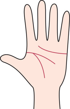 Palmistry is the practice of fortune-telling through the study of the palm. icon vector illustration.