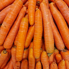 Ripe carrot rich in vitamins