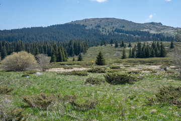 Spring view of Konyarnika area at Vitosha Mountain, Bulgaria