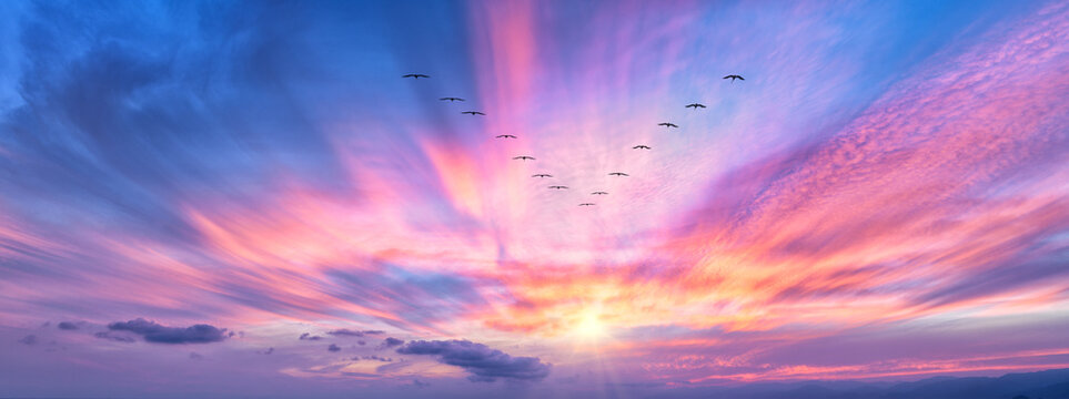 Sunset Inspirational Birds Hope Surreal Nature Banner