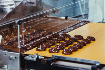 Process of chocolate glazing zephyrs in confectionery on conveyor machine. Marshmallow production...