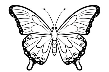 Fototapeta na wymiar Butterfly childrens colouring pages