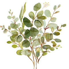 Rustic green Eucalyptus foliage design compositions - 613659883