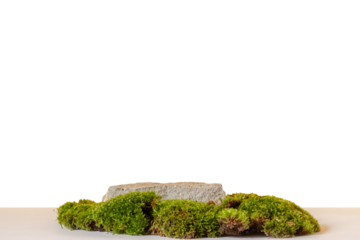 Natural style. Stone podium with green moss on a transparent background. Still life for the presentation of cosmetic products. Copy space.
