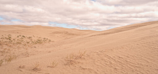 Fototapeta na wymiar Cloudy panoramic landscape of Great Sandhills Ecological Reserve