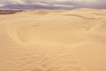 Fototapeta na wymiar Textured sandy landscape of Sandhills Ecological Reserve