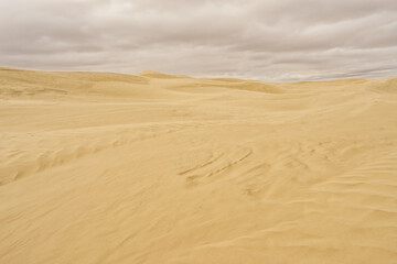 Overcast Sky over Great Sandhills Ecological Reserve