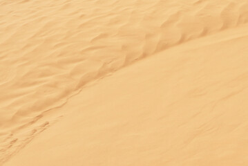 Close-up of textured sandy in Sandhills Ecological Reserve