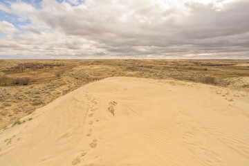 Fototapeta na wymiar Footprints across the sand at Landscape of Great Sandhills Ecological Reserve