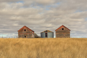 Abandoned farm buildings and grain silo under the cloudy sky in the prairie