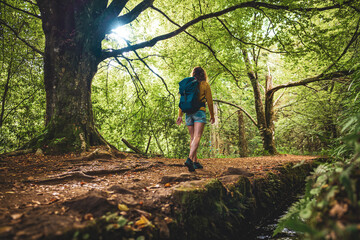 Backpacker woman walks next to canal through Madeiran rainforest on the hiking trail in the morning. Levada of Caldeirão Verde, Madeira Island, Portugal, Europe.