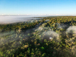 Aerial view of the Amazon Rainforest in Brazil