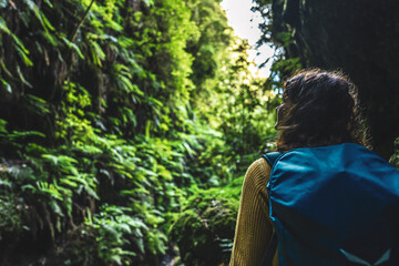 Tourist woman walks through Madeiran rainforest on a fern covered gorge in the morning. Levada of Caldeirão Verde, Madeira Island, Portugal, Europe.