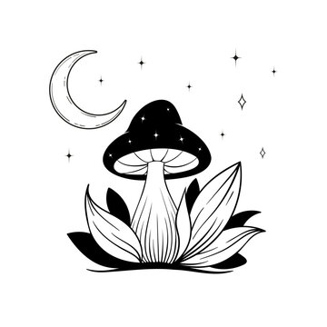 recommend clip art: Vector line art mystical celestial magic witchcraft elements. Esoteric crescent moon, mushrooms, stars, leaves, line art.
