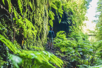 Atlhletic backpacker man walking on a fern covered gorge with old bridge somewhere in Madeiran...