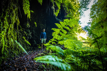 Atlhletic backpacker man walking on a fern covered gorge with old bridge somewhere in Madeiran rainforest in the morning. Levada of Caldeirão Verde, Madeira Island, Portugal, Europe. © Michael