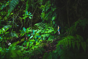Backpacker woman walking on a fern covered gorge with old bridge somewhere in Madeiran rainforest in the morning. Levada of Caldeirão Verde, Madeira Island, Portugal, Europe.