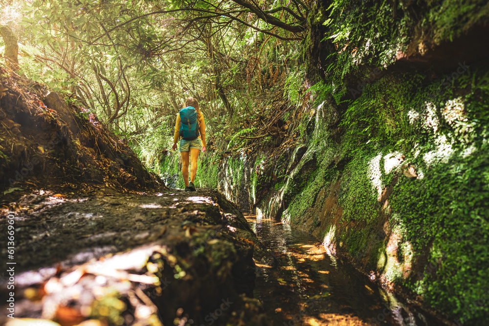 Wall mural Tourist woman walking along jungle hiking trail  next to canal through Madeiran rainforest. Levada of Caldeirão Verde, Madeira Island, Portugal, Europe.