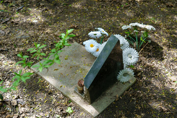 Grave in pet cemetery with tombstone commemorative plate, selective focus. Background