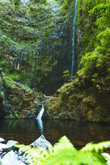 Scenic pool at overgrown waterfall in the Madeiran rainforest with ferns in the foreground. Levada of Caldeirão Verde, Madeira Island, Portugal, Europe.