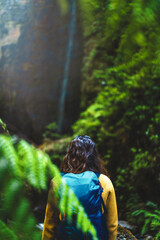 Backpacker woman on a fern covered path overlooking a picturesque overgrown waterfall in Madeiran...