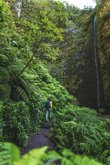 Backpacker woman walking along fern overgrown trail at picturesque, overgrown waterfall in the...