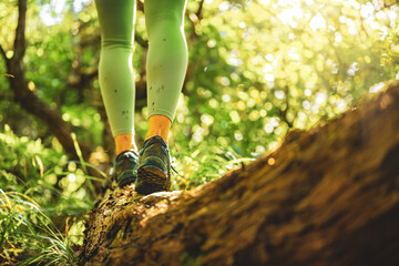 Legs of woman walking on tree stem with beautiful sunny atmosphere. Levada of Caldeirão Verde, Madeira Island, Portugal, Europe.