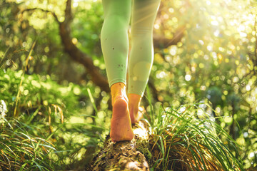 Legs of a woman walking barefoot on a dead tree trunk in beautiful sunny atmosphere. Levada of Caldeirão Verde, Madeira Island, Portugal, Europe.