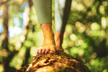Legs of a woman walking barefoot on a dead tree trunk in beautiful sunny atmosphere. Levada of...