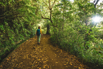 Obraz premium Tourist woman walking along jungle footpath next to water channel through light filled Madeiran rainforest during golden hour. Levada of Caldeirão Verde, Madeira Island, Portugal, Europe.