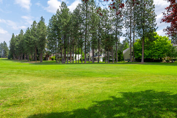 Luxury golf course homes behind a row of Pine trees at a suburban golf course, part of a golf community in the rural town of Post Falls, Idaho, in the general Coeur d'Alene area of North Idaho.
