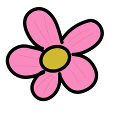 pink flower isolated on white