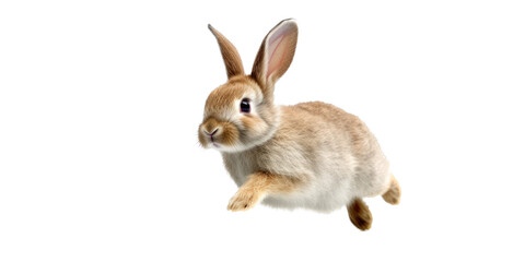 an adorable cottontail bunny rabbit in a spring-themed illustration, isolated, running, jumping, and bouncing, a spring-themed illustration on a transparent background in PNG format. Generative AI 