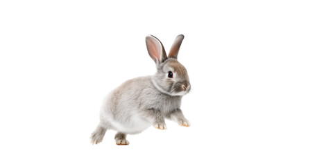 an adorable cottontail bunny rabbit in a spring-themed illustration, isolated, running, jumping, and bouncing, a spring-themed illustration on a transparent background in PNG format. Generative AI 