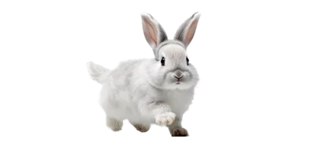 Fotobehang an adorable cottontail bunny rabbit in a spring-themed illustration, isolated, running, jumping, and bouncing, a spring-themed illustration on a transparent background in PNG format. Generative AI  © Purple Penguin GFX