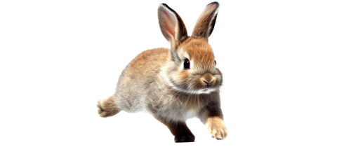 Obraz premium a spring-themed illustration featuring adorable isolated bunnies and rabbits running, jumping, and bouncing all set on a transparent background and provided in PNG. Generative AI