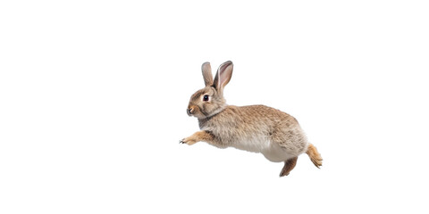 a spring-themed illustration featuring adorable isolated bunnies and rabbits running, jumping, and bouncing all set on a transparent background and provided in PNG. Generative AI